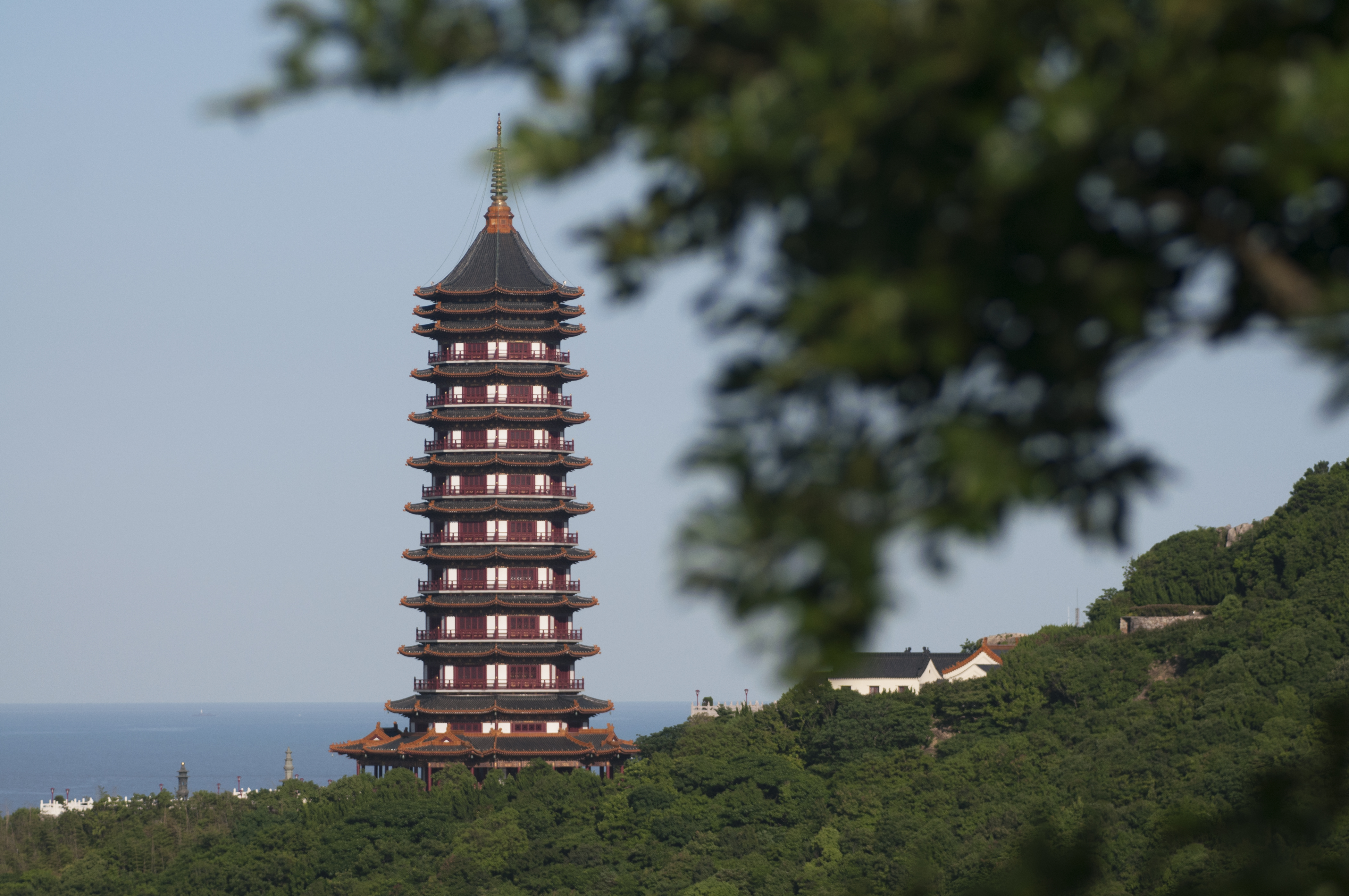 普陀山易德园2023年春节祭扫